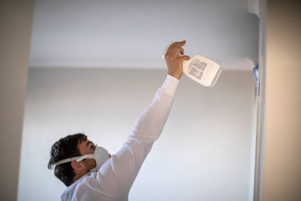 Best DIY Mold Remediation Support Services in Auburn Hills, MI