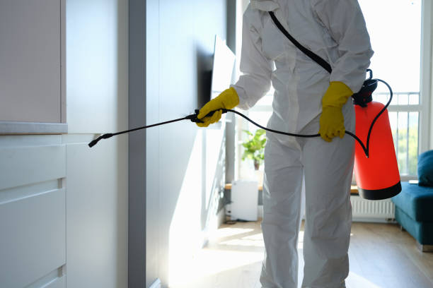 Best Commercial Mold Remediation in Auburn Hills, MI